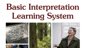 Basic Interpretation Learning System cover image