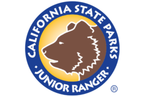 the Junior Ranger logo. An illustration of a bear over a yellow gradient background.