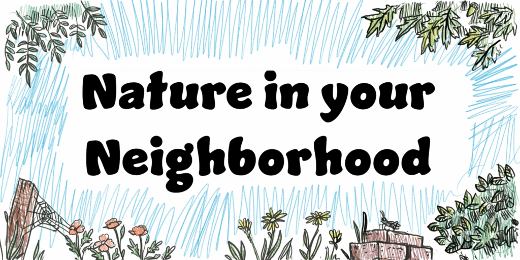 An illustrated title for Nature in Your Neighborhood