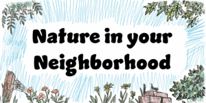 An illustrated title for Nature in Your Neighborhood