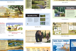 A collage of different interpretive panels