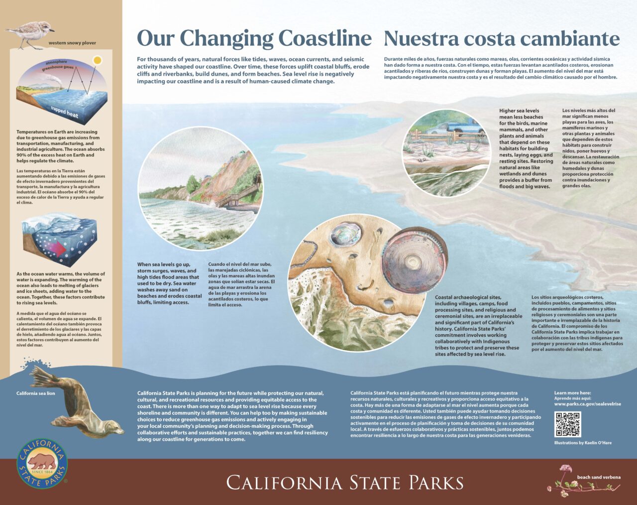 Sea Level Rise Panel, 32×40 Our Changing Coastline - This interpretive panel shows the different causes and effects of sea level rise
