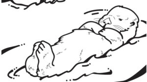 A coloring book page of a sea otter