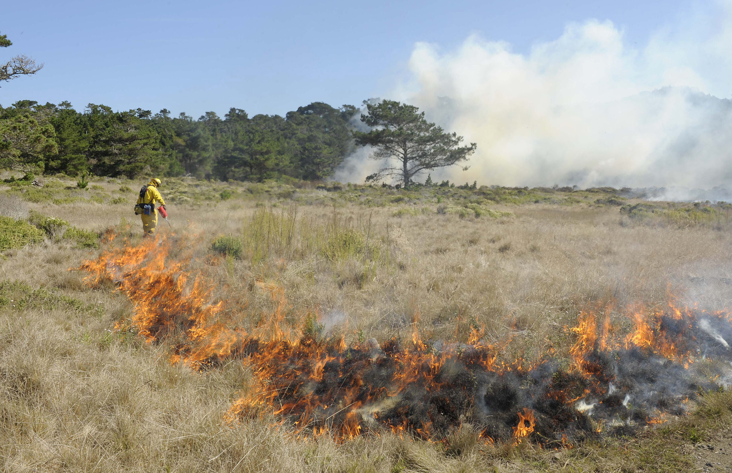 firepurposegrasslandpt lobosbakken