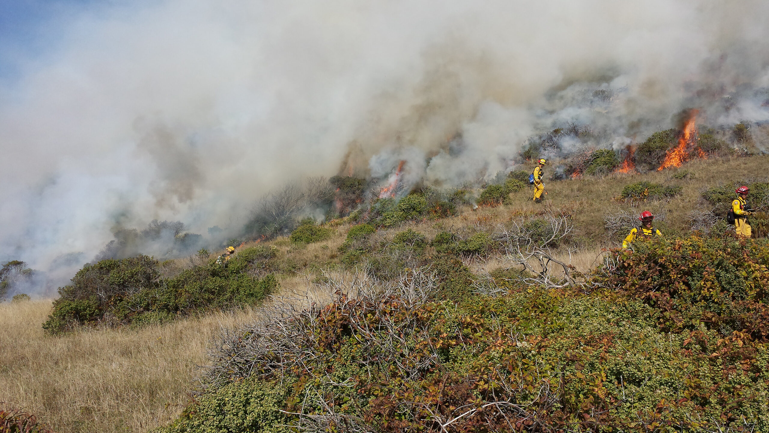 firepurposehumbreds20131030_bakken