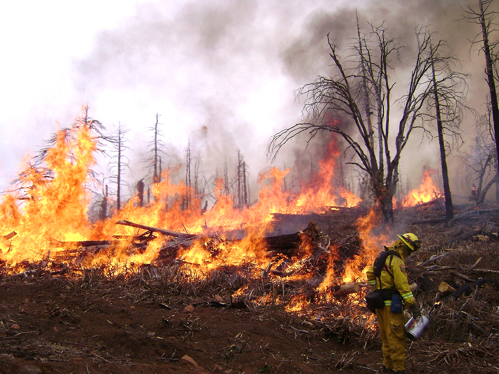 firepurposereforestprepmiddlepeak_cuyabakken11_12