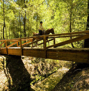 Horse riding over bridge