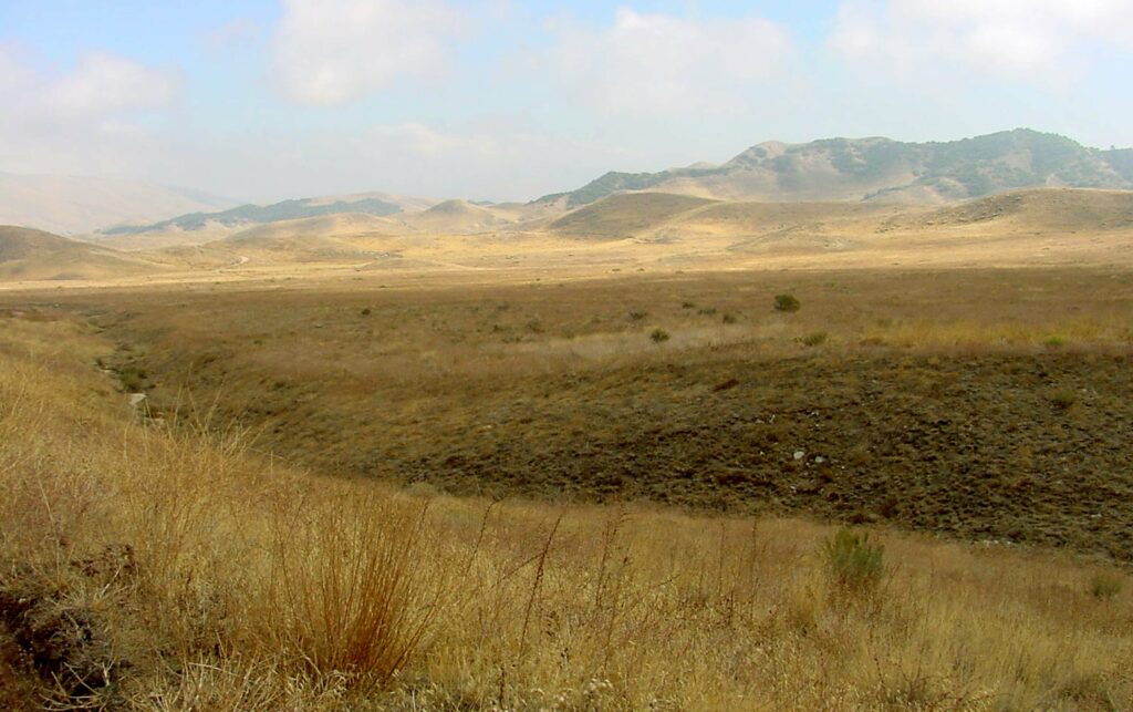 Photo of Hungry Valley North Grasslands