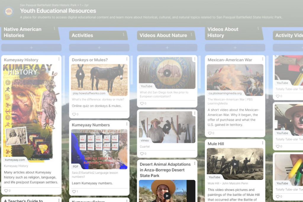 A screenshot of the youth educational resources available on the website link