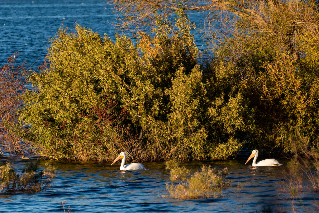 Photo of or from Lake Perris State Recreation Area