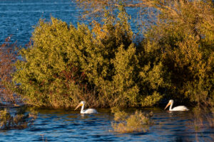 Photo of or from Lake Perris State Recreation Area