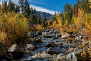 Photo of or from Plumas-Eureka State Park