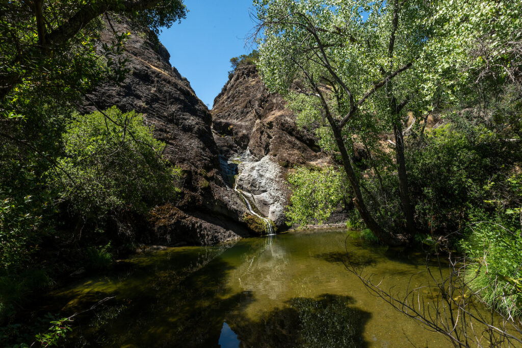 Photo of or from Pacheco State Park
