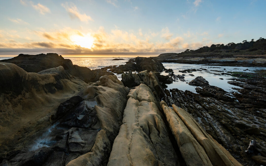 Photo of or from Point Lobos State Natural Reserve