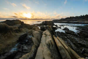 Photo of or from Point Lobos State Natural Reserve
