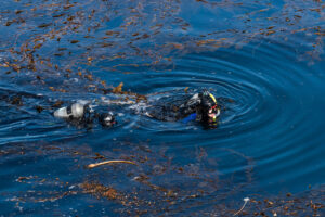 Point Lobos State Nature