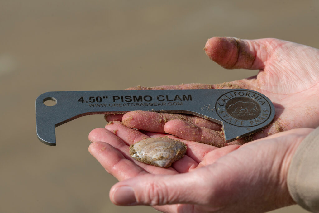 Photo of or from Pismo State Beach