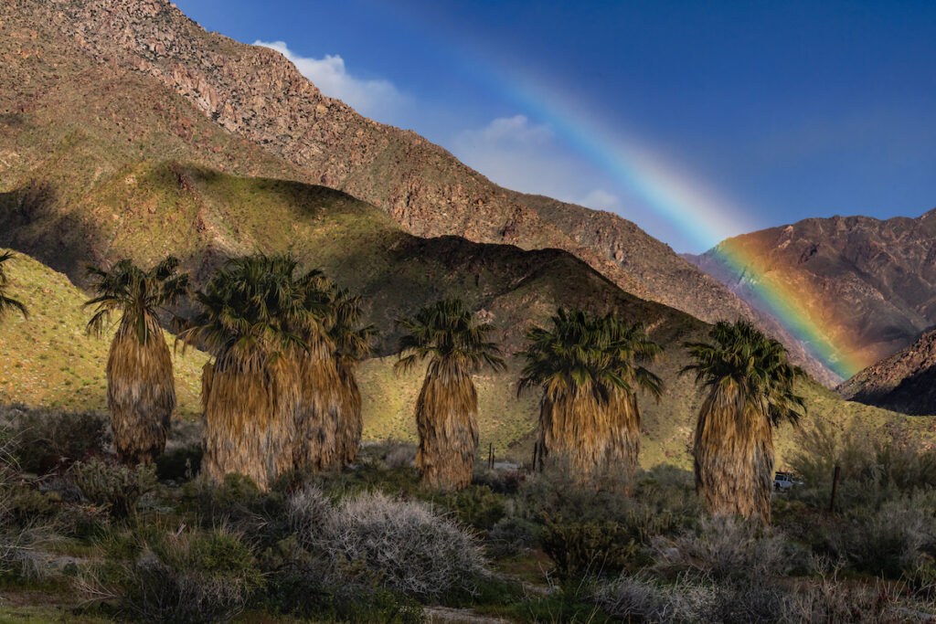 Photo of or from Anza-Borrego Desert State Park