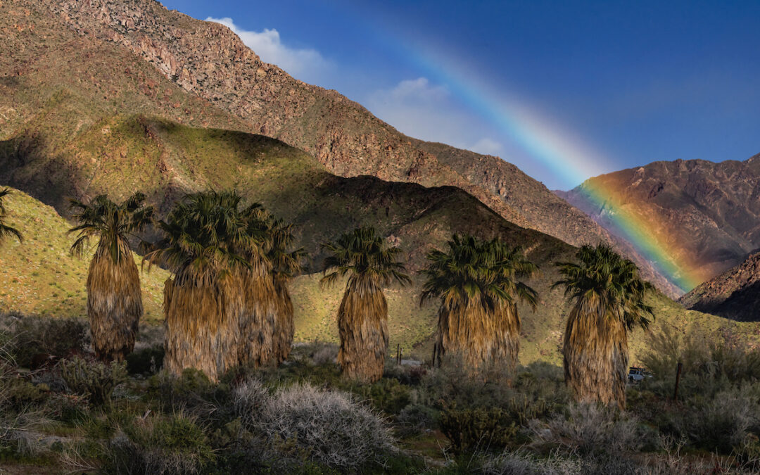 Photo of or from Anza-Borrego Desert State Park