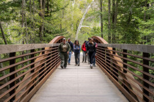 Photo of or from Pfeiffer Big Sur State Park