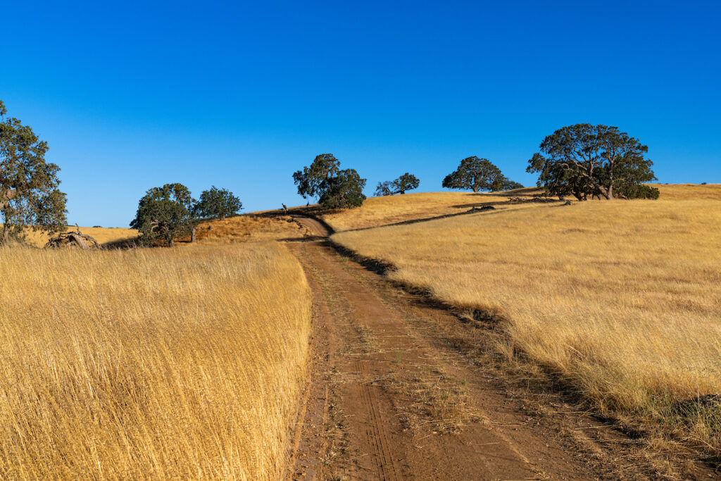 Photo of or from Carnegie State Vehicular Recreation Area
