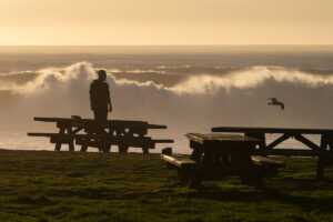 Photo of or from Half Moon Bay State Beach