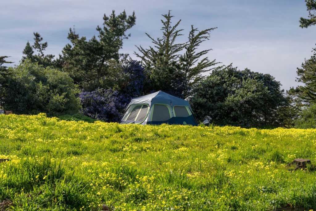 Photo of or from Sunset State Beach
