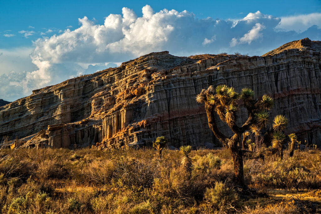 Photo of or from Red Rock Canyon State Park