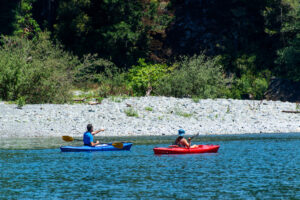 Photo of or from Jedediah Smith Redwoods State Park