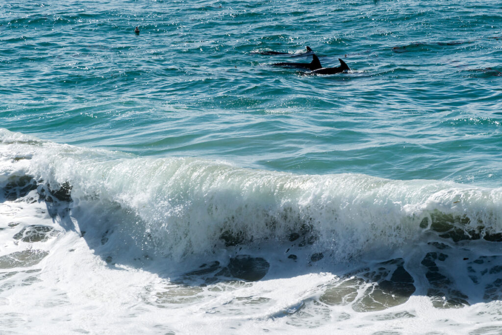 Photo of or from Garrapata State Park