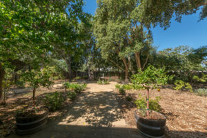 Photo of or from Rancho San Andrés Castro Adobe Park Property