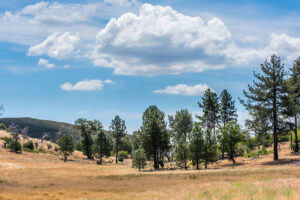 Photo of or from Cuyamaca Rancho State Park