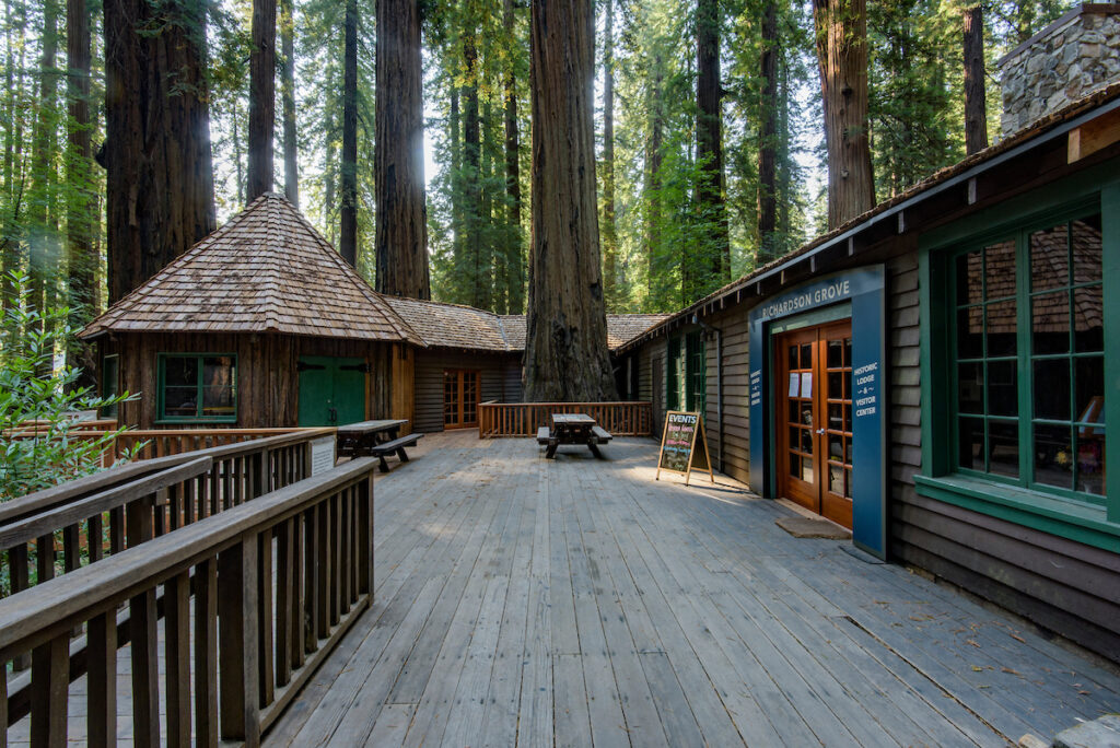 Photo of or from Richardson Grove State Park