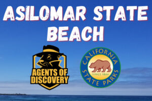 A picture of Asilomar state beach, with the logos of Agents of Discovery and California State Parks overlayed