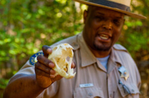Photo of or from Henry W. Coe State Park