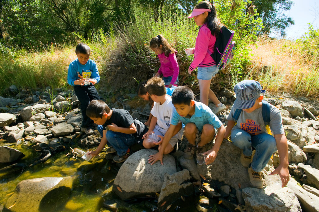Photo of or from Henry W. Coe State Park