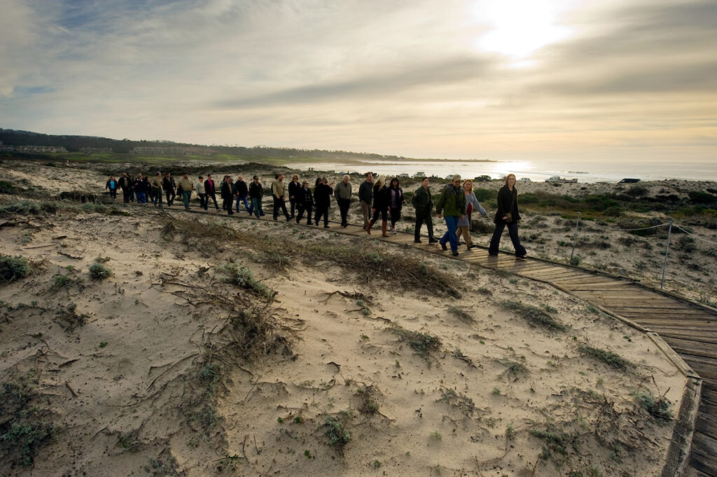 Photo of or from Asilomar State Beach