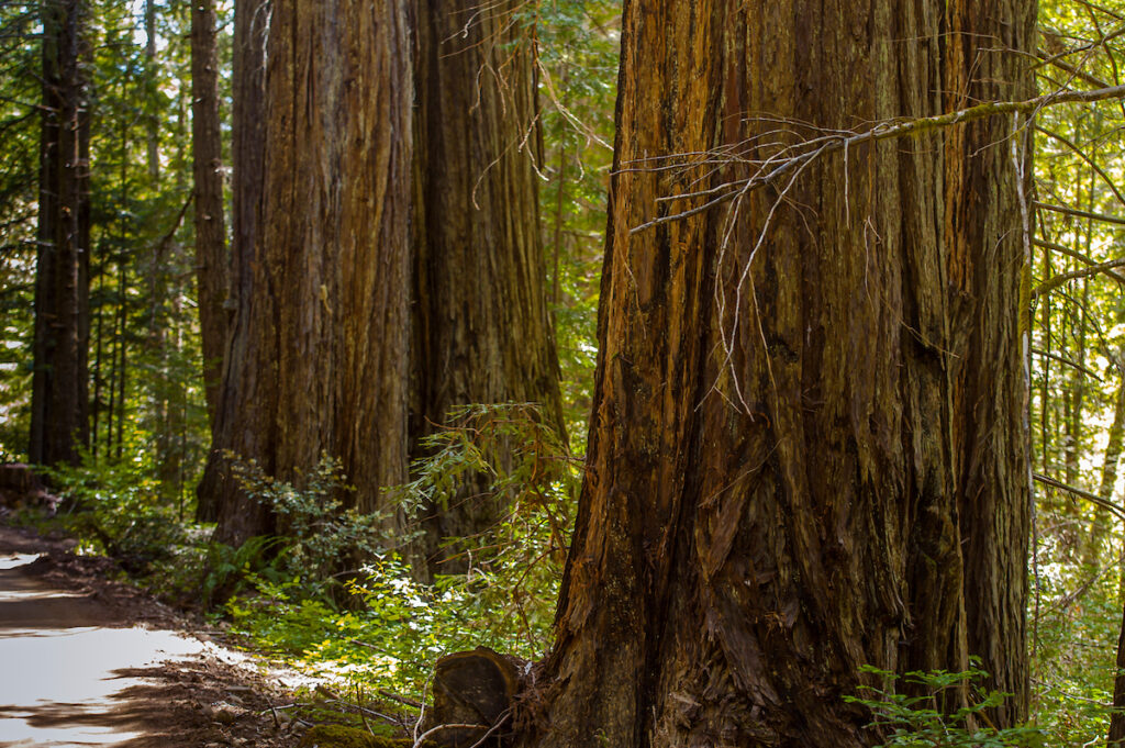 Photo of or from Admiral William Standley State Recreation Area