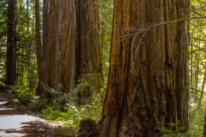 Photo of or from Admiral William Standley State Recreation Area