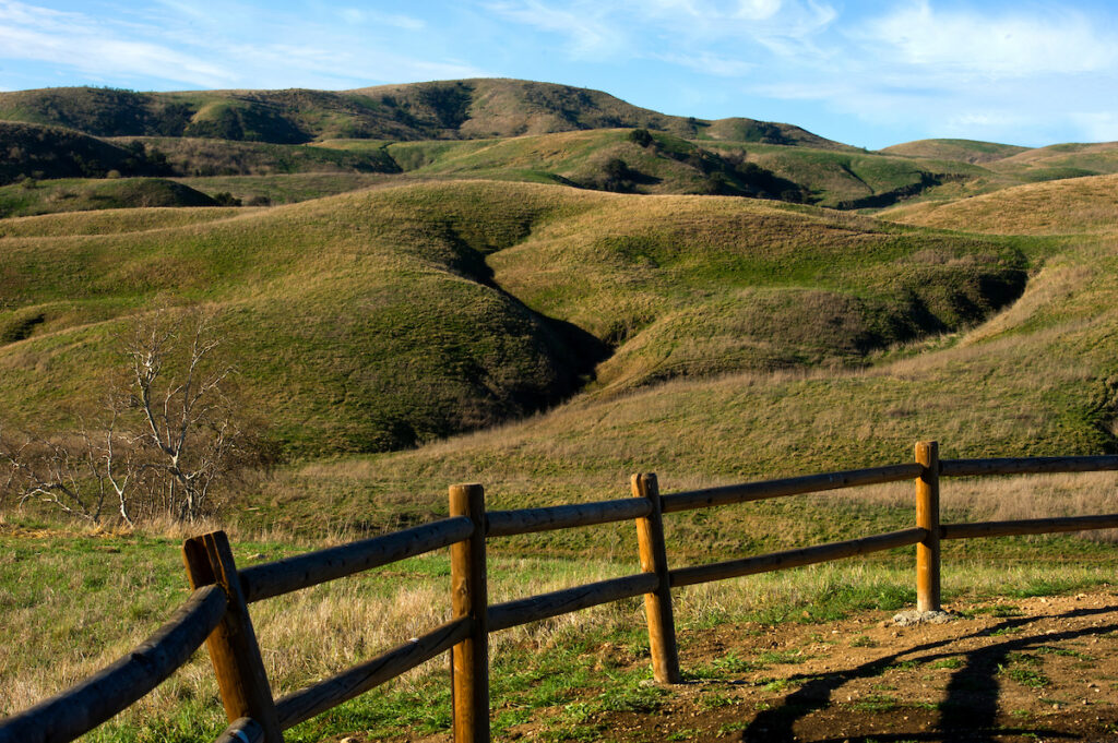 Photo of or from Chino Hills State Park