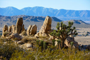 Photo of or from Antelope Valley Indian Museum State Historic Park