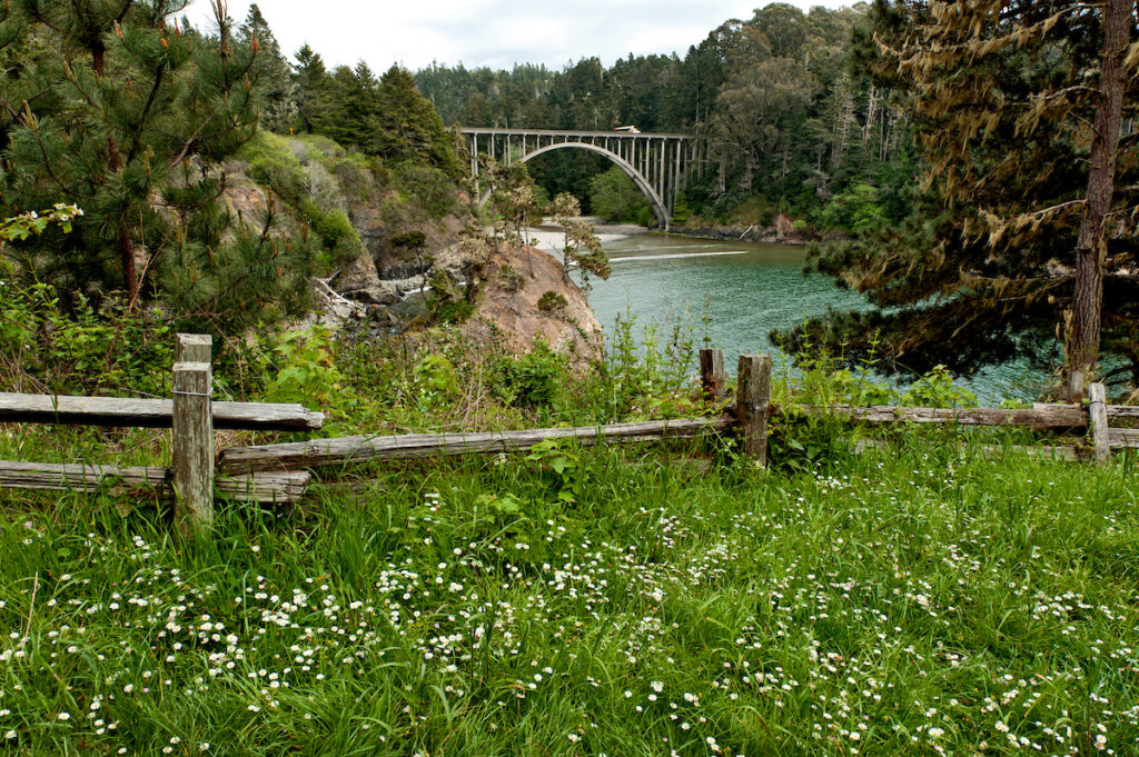 Photo of or from Russian Gulch State Beach