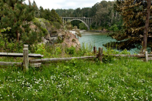 Photo of or from Russian Gulch State Beach