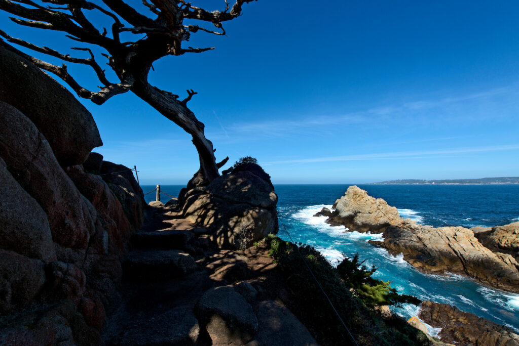 Photo of or from Point Lobos State Natural Reserve