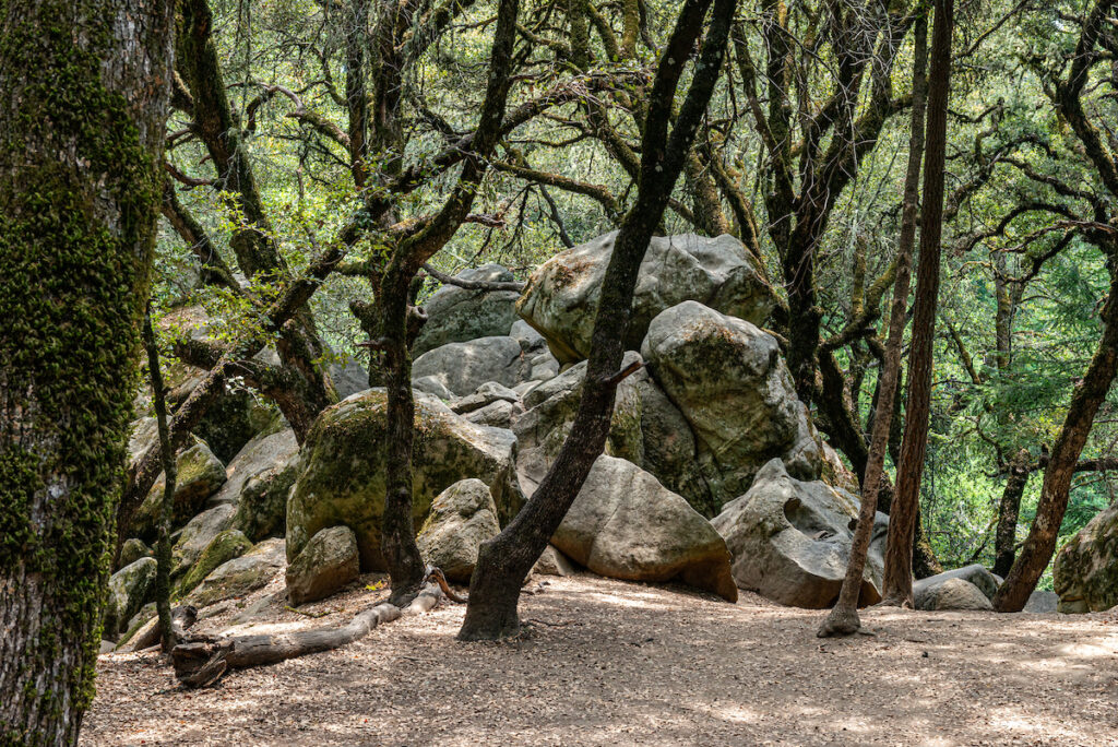 Photo of or from Castle Rock State Park
