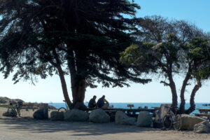 Photo of or from Point Mugu State Park