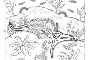 A coloring book page of a nudibranch sea slug.