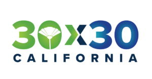 30x30 California Logo