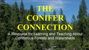 The Conifer Connection cover