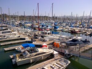 A marina full of boats